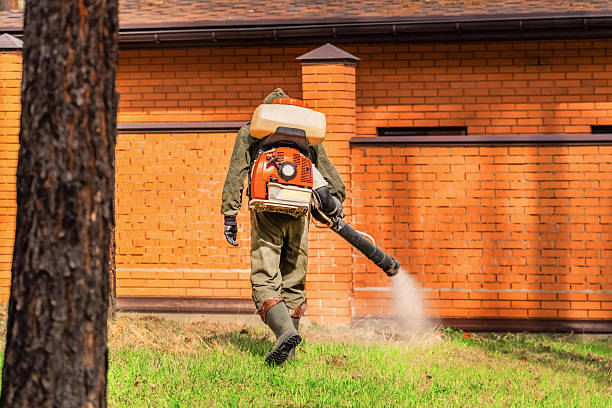 Top rated local Mosquito Control specialists in Schiller Park, IL